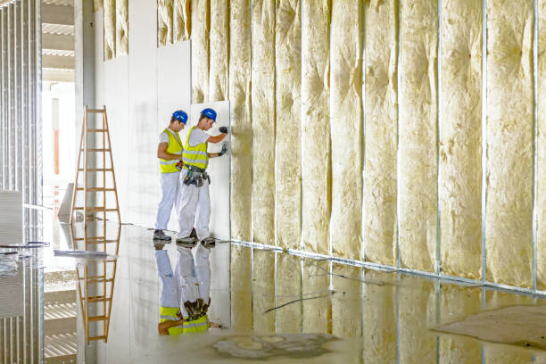 Best Residential Insulation in Bethlehem, WV